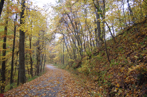 Little Shepherd Trail