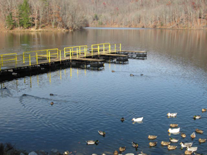 Fish Pond Lake